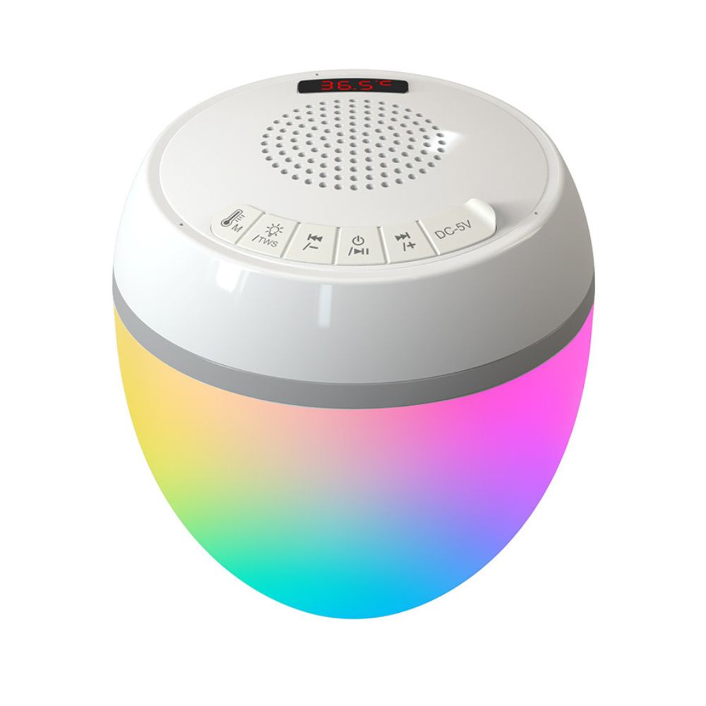 Pool Set Portable Lightshow Speaker